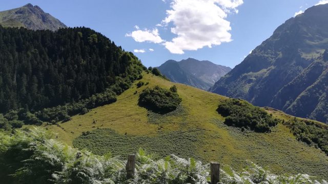 Sejour-Pyrenees (11)